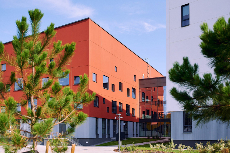 Школа Талантов